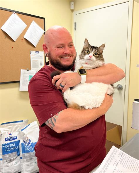 vca farmington hills animal hospital 8