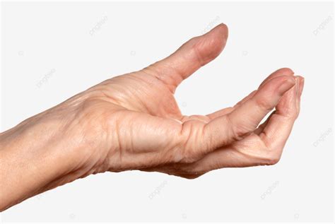 Hand Side View, People, Macro, Human PNG Transparent Image and Clipart ...