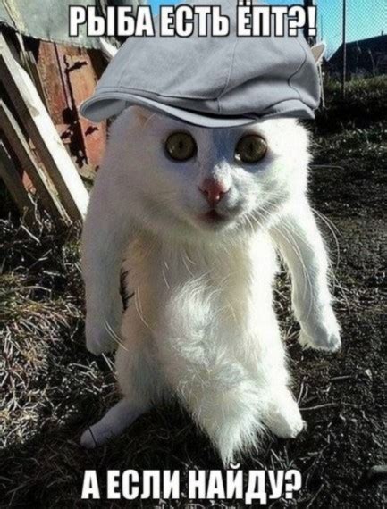 Приколы для друзей