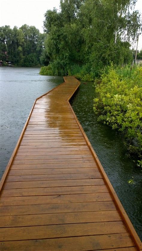 wood pathway  water walk path  water path  water forest