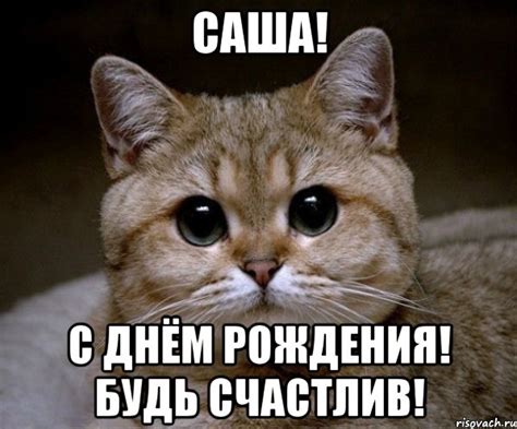 саша! с днём рождения! будь счастлив!, Мем Пидрила Ебаная - Рисовач .Ру