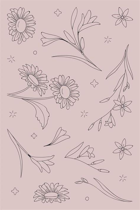 flower  vectors  illustrations drawings png clip art