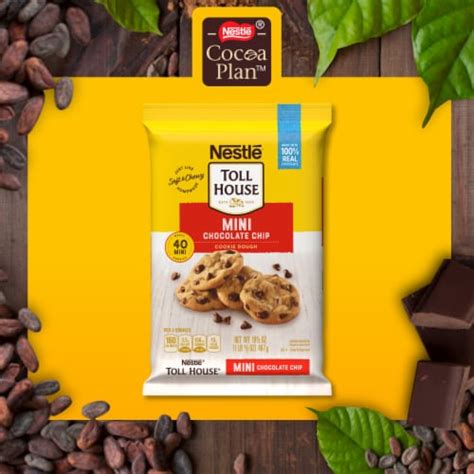 Nestle Toll House Mini Chocolate Chip Cookie Dough, NET WT 16 1/2 oz ...