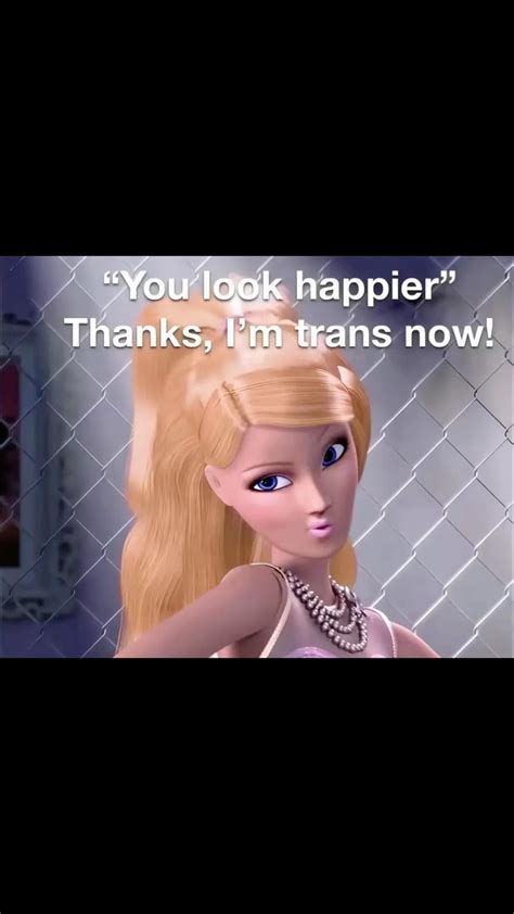 Zaya (@zayaperysian) • Instagram photos and videos