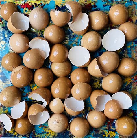 Edna Latimer: Obituary and Celebration of Life Services 13