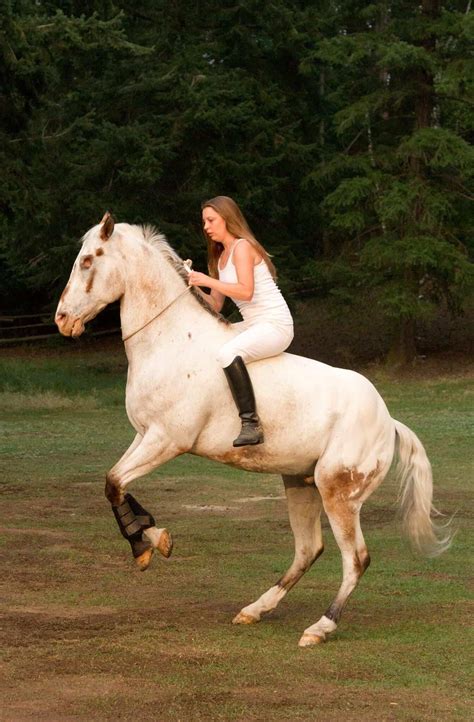 Even Losing His Eyes Doesn't Stop This Horse From Doing What He Loves