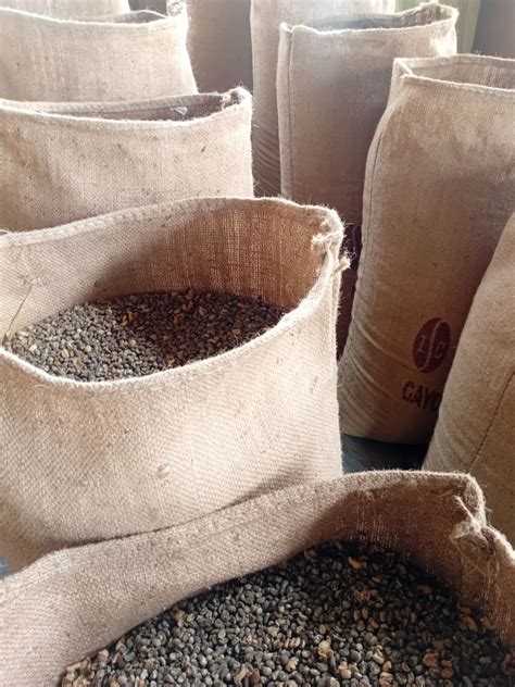 What is Wet-Hulled Coffee or Giling Basah?