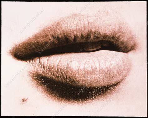 close    mouth   woman front view stock image p