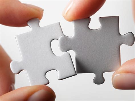 levels  integration project success