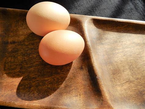 double eggs photograph  tina  wenger fine art america