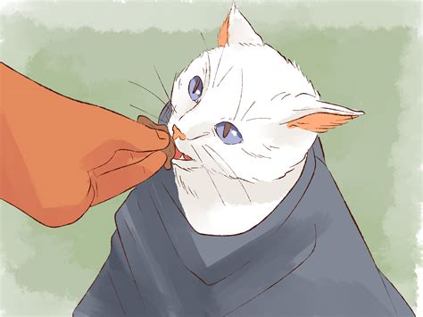 how to give cats liquid medicine