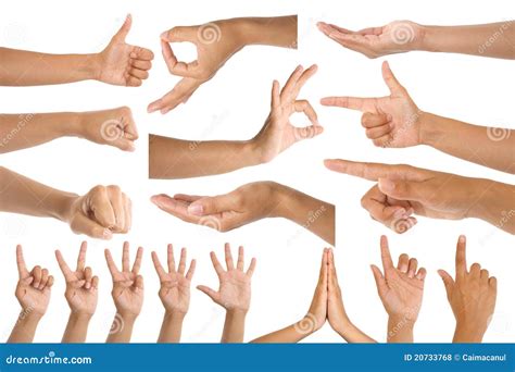 woman hand touching someting isolated  white background  clipping