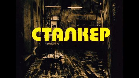 Stalker Blu-ray - Aleksandr Kaydanovskiy