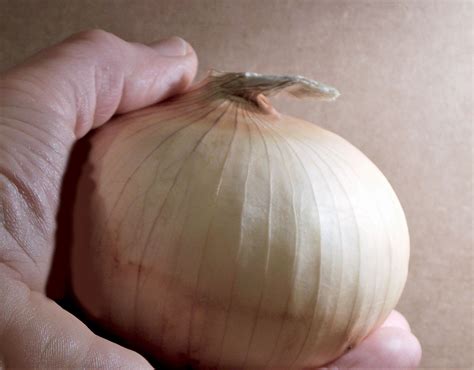 What Are Vidalia Onions?