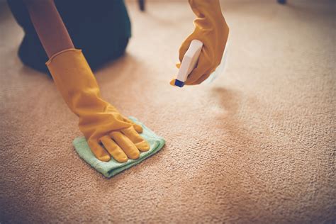 how to get urine smell out of carpet 4
