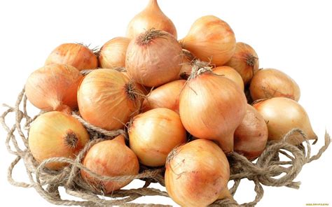 Onion Wallpapers - Wallpaper Cave