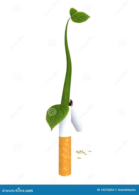 Broken Cigarette with a Sprouting Plant Stock Illustration
