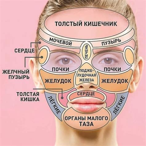 Причины появления прыщей на щеках и висках причины - фото презентация