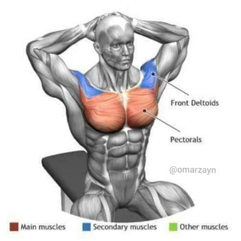 10 Best Full Body Stretching |Exercises| Workouts| By Omar Zyan 2018