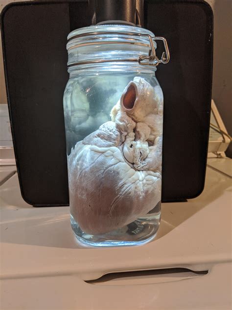I've wanted to do wet specimens for a while and finally got to do my