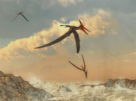 Jurassic Park 3 Pterodactyl