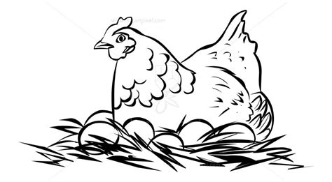 Hen Drawing Images at PaintingValley.com | Explore collection of Hen ...
