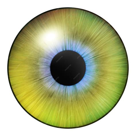 Premium Photo | Iris eyes Human iris with blood veins Illustration of
