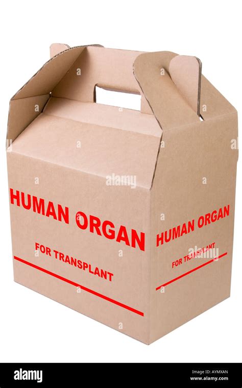 Human organ transplant carrying box Stock Photo - Alamy