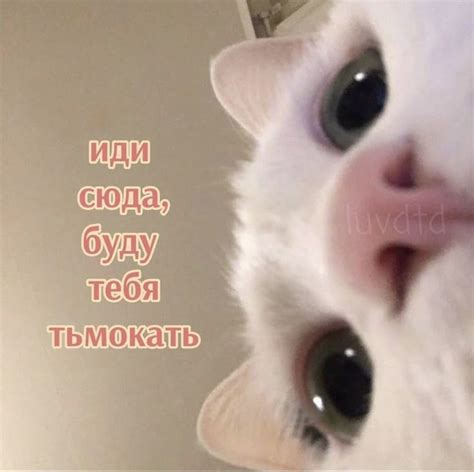 Pin on Идеи для открыток