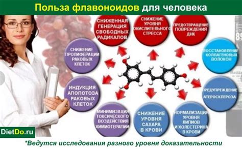 Флавоноиды: что это такое, польза для человека и в каких продуктах ...