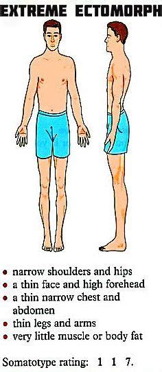 greginsds blog roll  mens health  fitness whats  body type