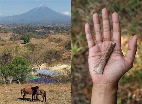 Tiny ‘hobbit’ human fossils discovered in Indonesia date back 700,000 ...