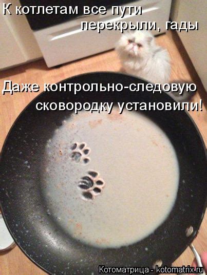 Котоматрица: Главная
