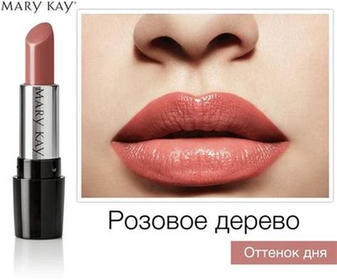 Сияющая гелевая помада, тон розовое дерево Mary Kay, цена 550 грн ...