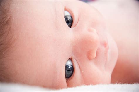 Baby Free Stock Photo - Public Domain Pictures