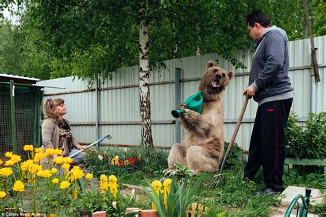 Russian family sit down to dinner with a 300lb BEAR at the table ...
