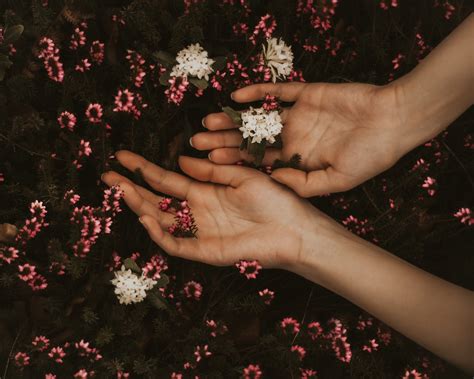 De kracht van kwetsbaarheid in een leerzame TED Talk van Brene Brown