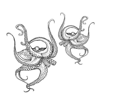 Emma Rose - Emma Rose updated their cover photo.