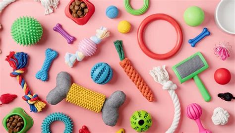 Игрушки и лакомства для дрессировки собак