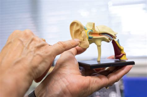 Hearing Protection and Preventing Further Hearing Loss | DWM Audiology