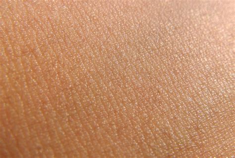 skin knowonder