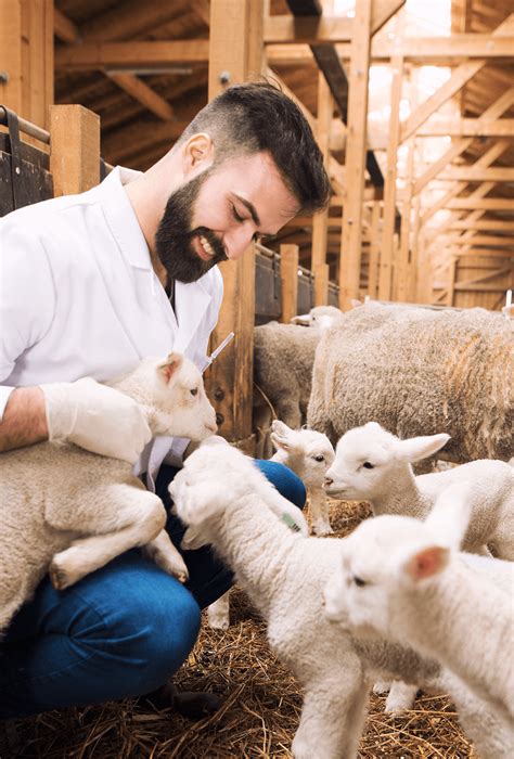 Medicina Veterinária | Uniguaçu