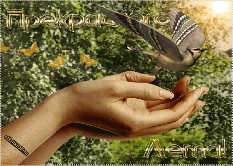Природа лето открытка | Открытки и картинки бесплатно