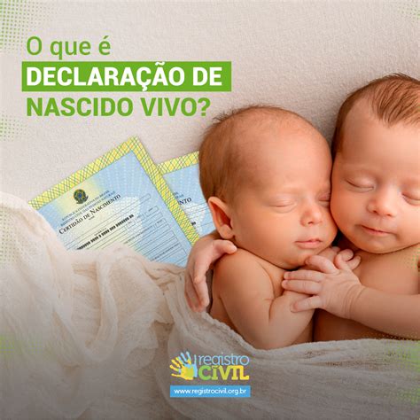 O Que É Declaração De Nascido Vivo - O que é Declaração de Nascido Vivo? – Blog Registro Civil