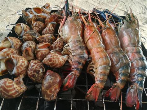 seafood barbecue  beach stock image image  meat