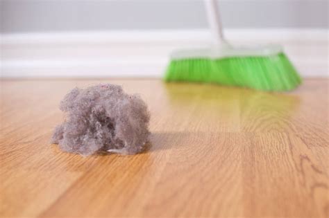 dust     accumulate