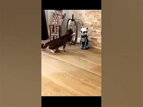 Это что то невероятное, Здравствуй Брат - YouTube
