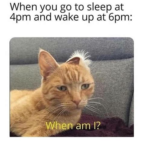 But you still feel tired : r/memes