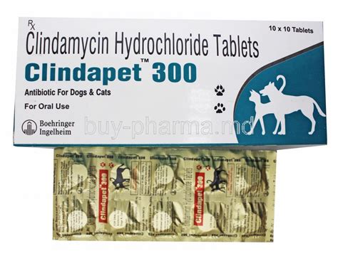 Buy Clindapet For Dogs And Cats, Clindamycin Online - buy-pharma.md