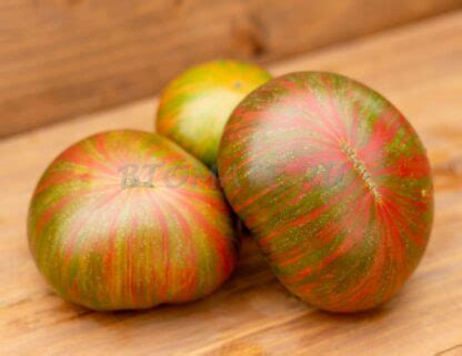 МЯТНЫЕ ПОЛОСЫ Dwarf Peppermint Stripes — BTomate